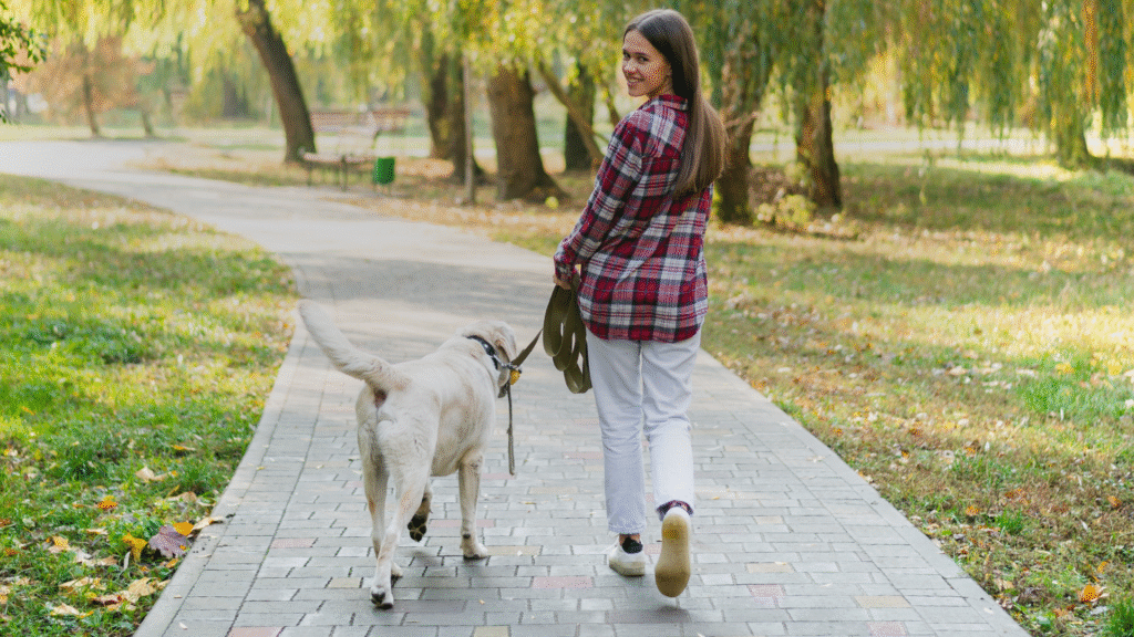 Caminhar emagrece? Descubra o ritmo e tempo ideais para resultados.