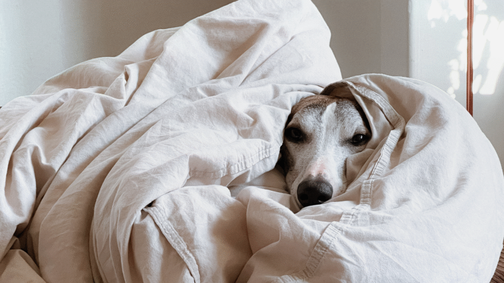 Durma bem e mantenha sua dieta e treinos em equilíbrio